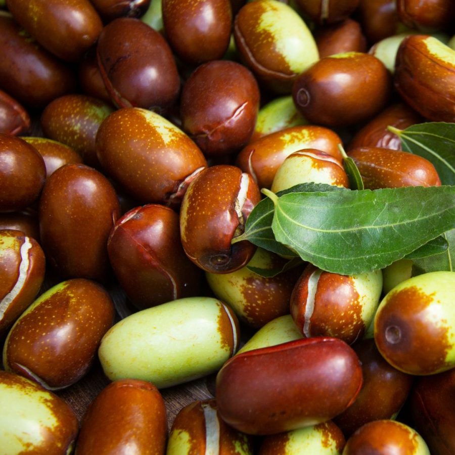Organic Jojoba Oil