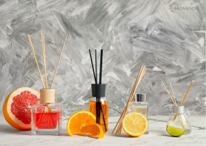 reed diffuser/ difusor de varillas